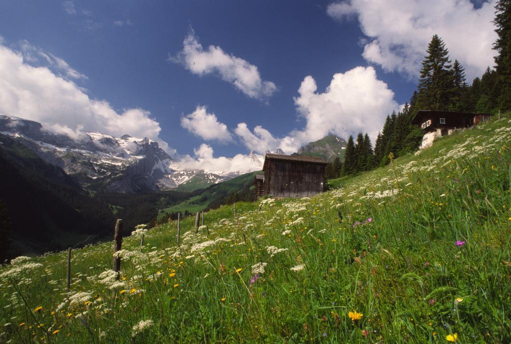 Hotel Montabella Schruns ภายนอก รูปภาพ
